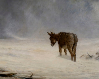 A DONKEY IN SNOW