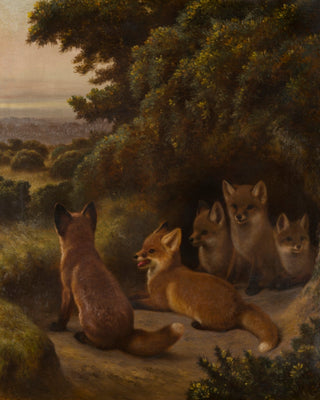 A LITTER OF FOX CUBS