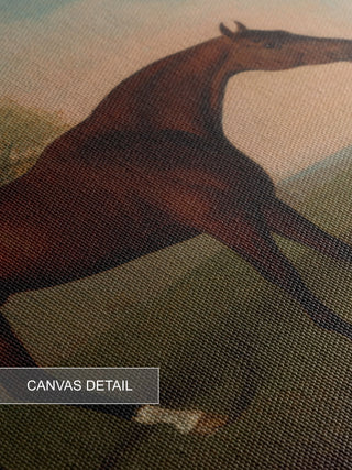 BAY HORSE IN A FIELD