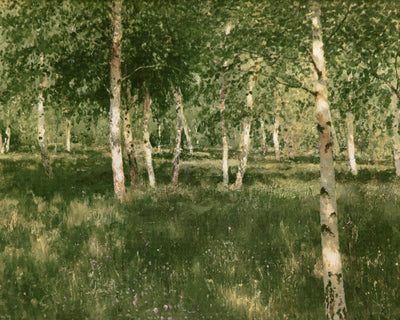 BIRCH COPSE