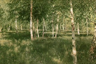 BIRCH COPSE