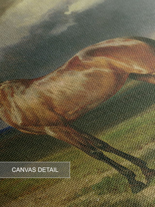 CHESTNUT ARAB HORSE