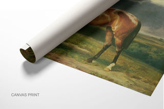 CHESTNUT ARAB HORSE