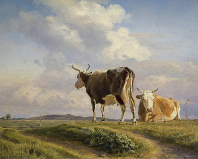 COWS