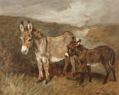 DONKEYS OUT ON THE MOOR