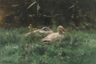 DUCKS