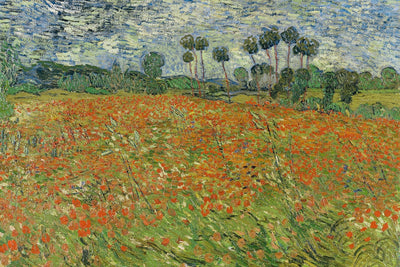 FIELD OF POPPIES, AUVERS-SUR-OISE