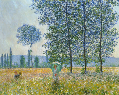 FIELDS IN SPRING