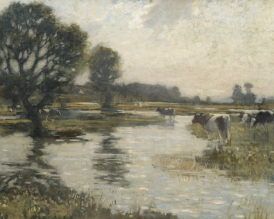 FLOODED MEADOWS