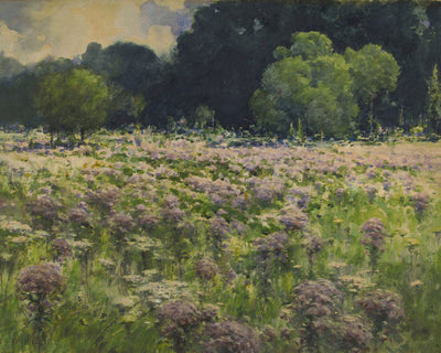 FLOWERING MEADOW