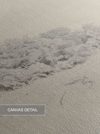 FOREST STUDY SKETCH