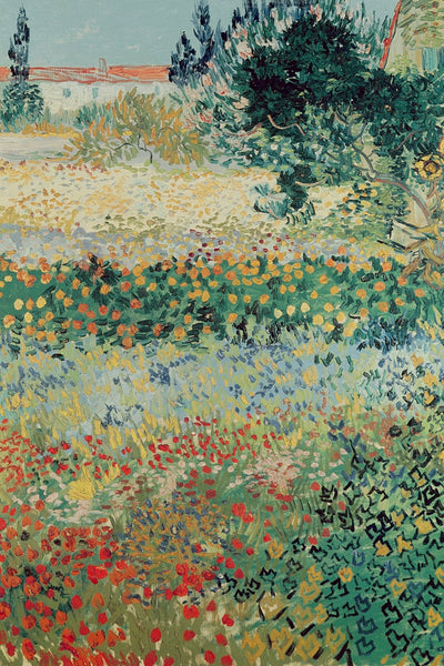 GARDEN IN BLOOM, ARLES