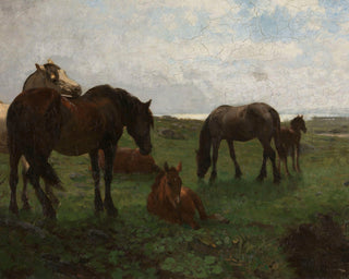 HORSES