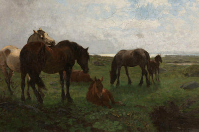 HORSES