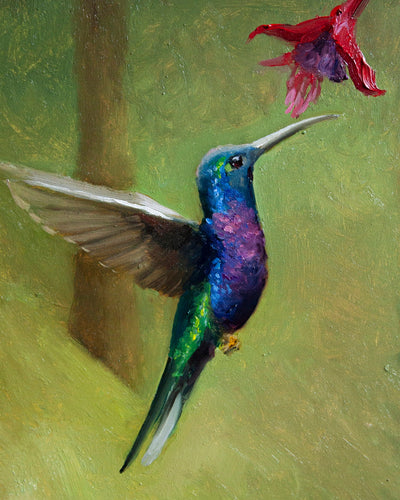 HUMMINGBIRD