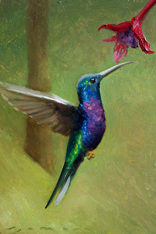 HUMMINGBIRD