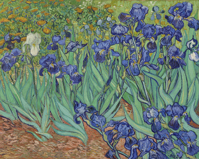 IRISES II