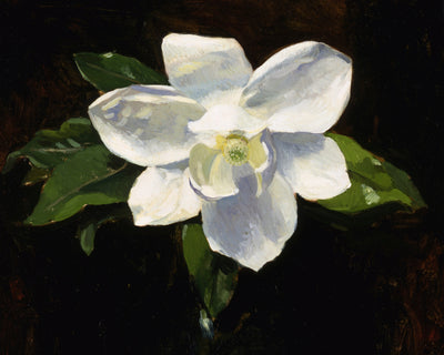 MAGNOLIA