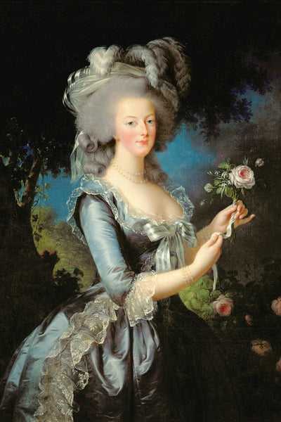 MARIE ANTOINETTE