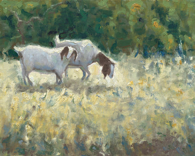 NEW PASTURES