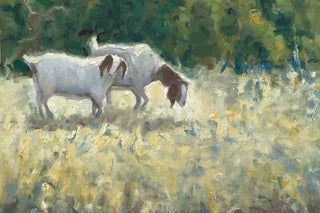 NEW PASTURES