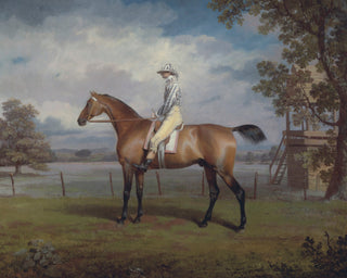 PORTRAIT OF A RACEHORSE