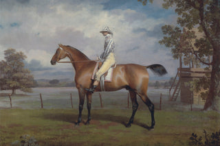 PORTRAIT OF A RACEHORSE