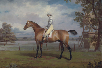 PORTRAIT OF A RACEHORSE