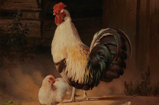 ROOSTER AND CHICKEN