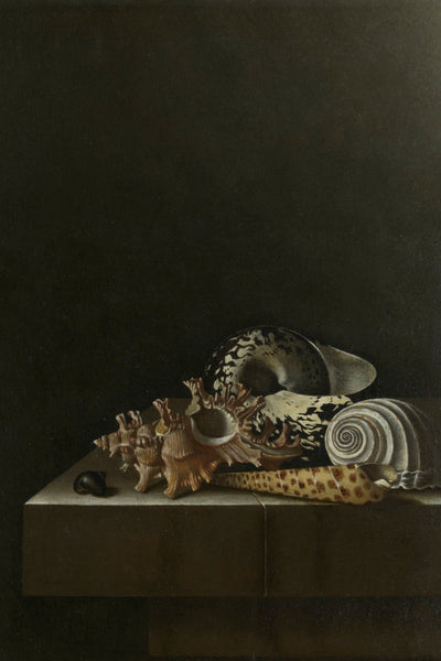 SHELLS ON A STONE PLINTH