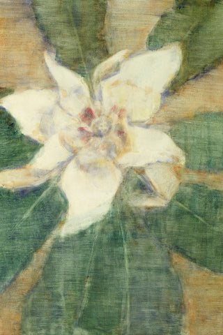 SOUTHERN MAGNOLIA