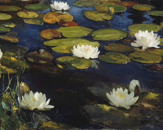 WATER LILY POND