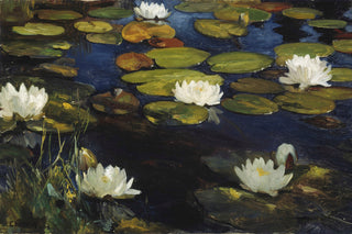 WATER LILY POND