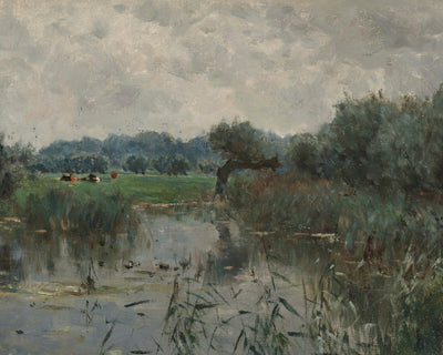 WATER MEADOWS