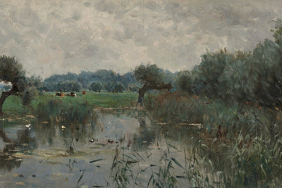 WATER MEADOWS