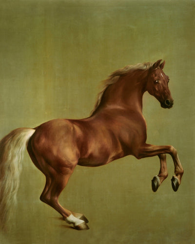 WHISTLEJACKET