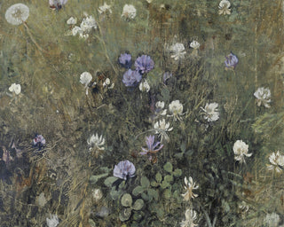 WILDFLOWERS